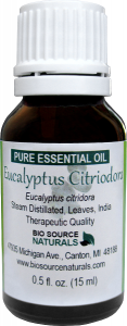 Eucalyptus Citriodora Essential Oil Uses and Benefits