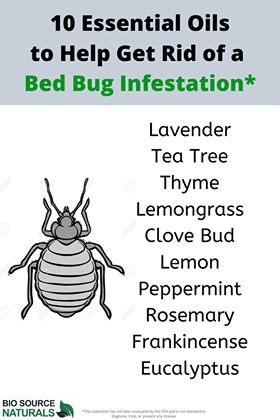 Essential Oils That Can Help With Those Pesky Bed Bugs